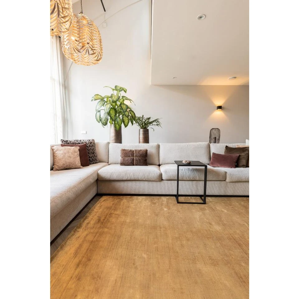 Vloerkleed Felva Viscose Silk Goud - Interieur05 - 160 X 230 Cm 4 Vloerkleed Felva Viscose Silk Goud - Interieur05 - 160 X 230 Cm - Afbeelding 2