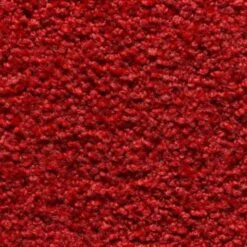 HAMAT Droogloopmat Twister 80x120cm Rood -Tapijt Wereld 1000097949 0101