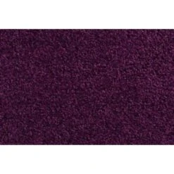HAMAT Droogloopmat Twister 60x90cm Paars -Tapijt Wereld 1000097970 0101