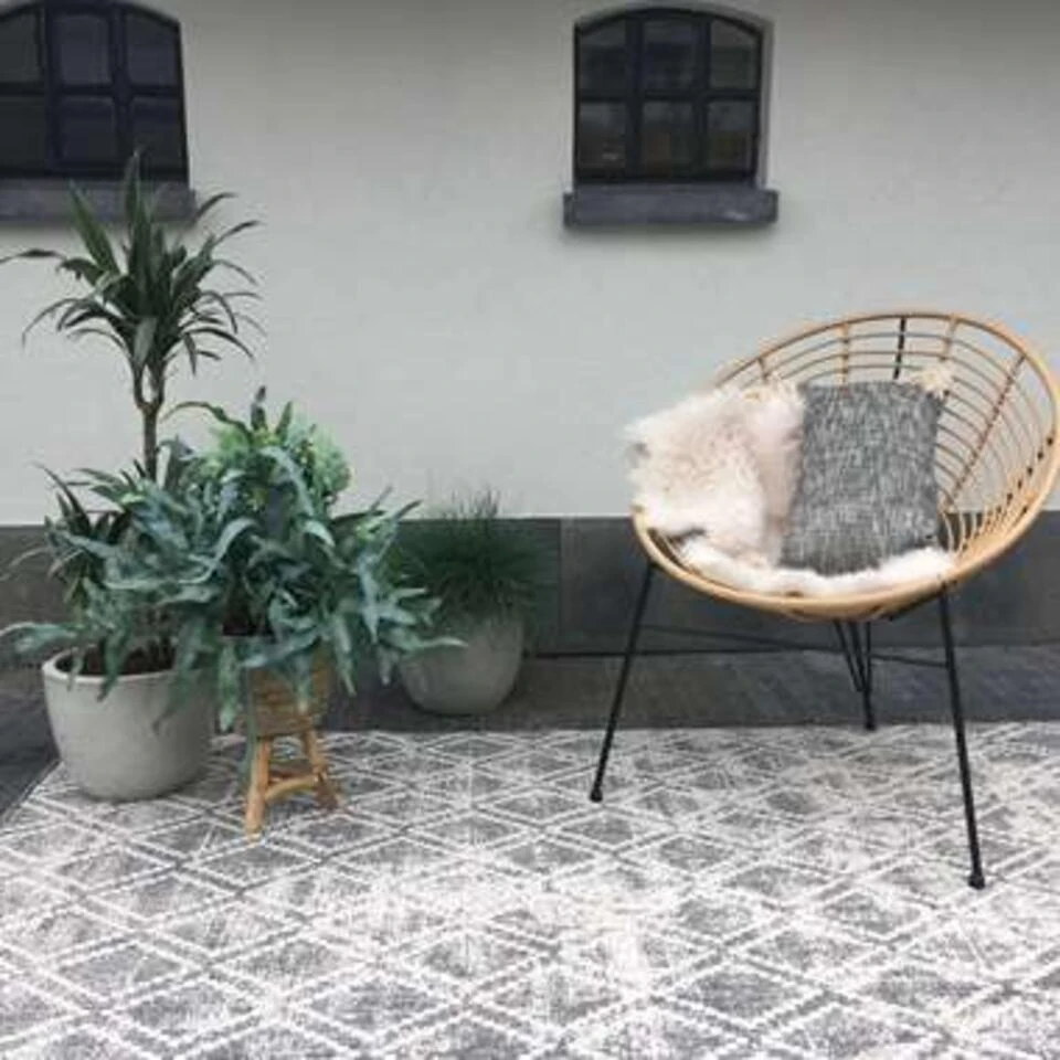 Eva Interior Buiten Vloerkleed - Frost - Grijs/Wit- 240x340 Cm 4 Eva Interior Buiten Vloerkleed - Frost - Grijs/Wit- 240x340 Cm - Afbeelding 2