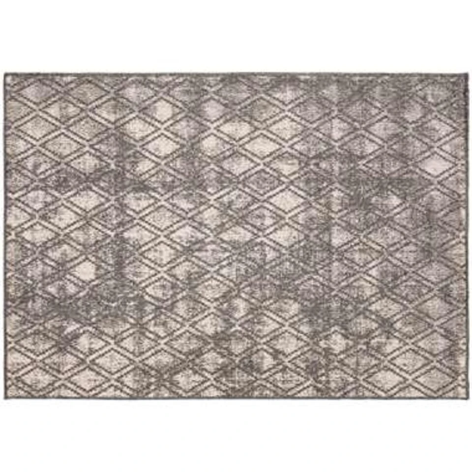 Eva Interior Buiten Vloerkleed - Frost - Grijs/Wit- 160x230 Cm 5 Eva Interior Buiten Vloerkleed - Frost - Grijs/Wit- 160x230 Cm - Afbeelding 3