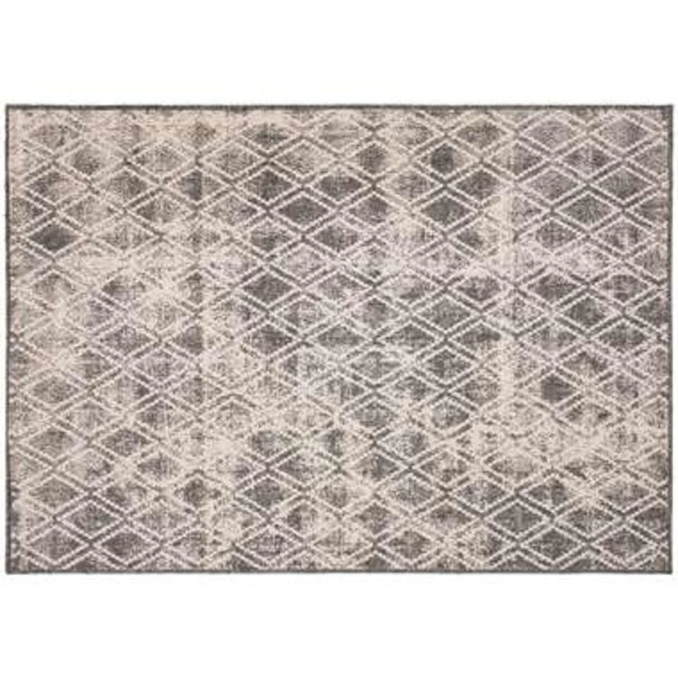 Eva Interior Buiten Vloerkleed - Frost - Grijs/Wit- 160x230 Cm 3 Eva Interior Buiten Vloerkleed - Frost - Grijs/Wit- 160x230 Cm