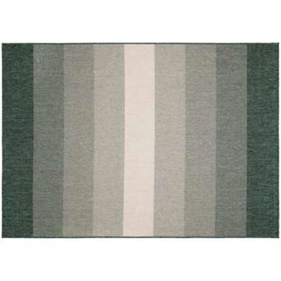 Eva Interior Buitenkleed Groen Boa 200 X 290 Cm 5 Eva Interior Buitenkleed Groen Boa 200 X 290 Cm - Afbeelding 3