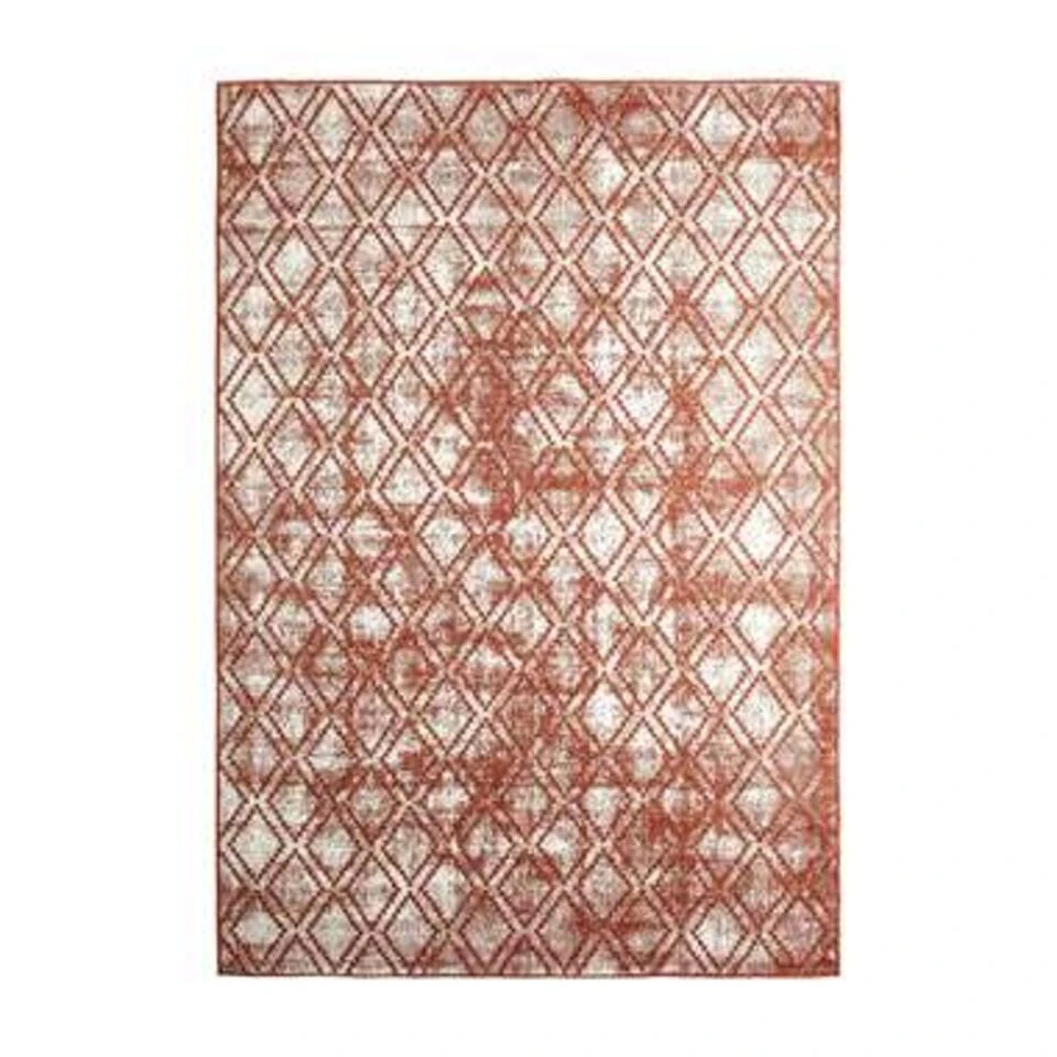 Eva Interior Buiten Vloerkleed - Frost - Roest/Wit - 200x290 Cm 5 Eva Interior Buiten Vloerkleed - Frost - Roest/Wit - 200x290 Cm - Afbeelding 3